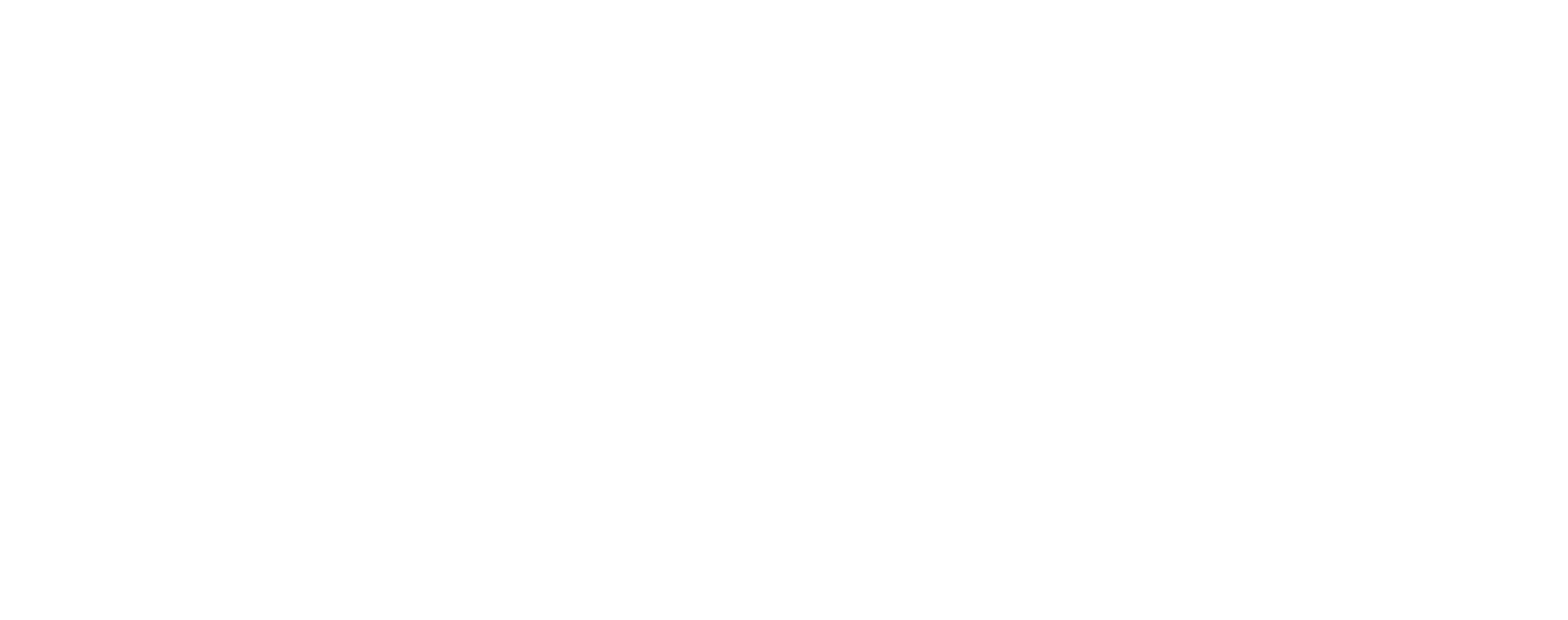 White Pauli Murray Awards Foundation Logo